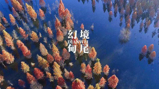 什么植物什么草？游戏画面